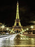 Stunning Eiffel Tower in Night Lights